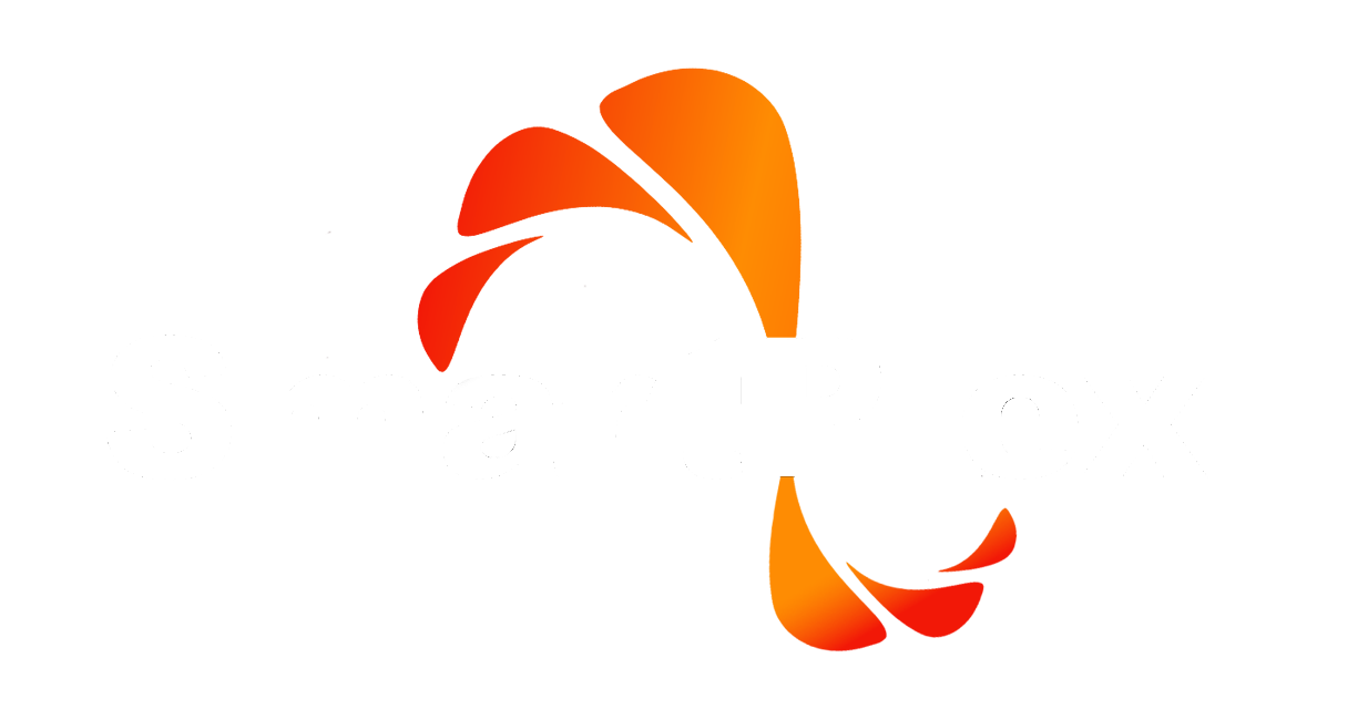 Smart Plexi®
